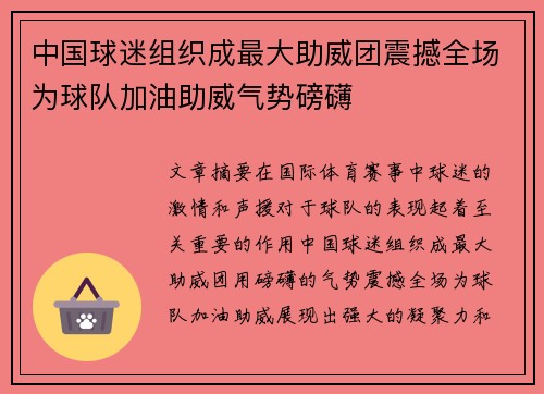 中国球迷组织成最大助威团震撼全场为球队加油助威气势磅礴