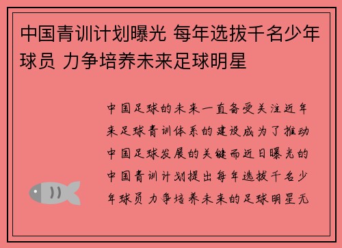 中国青训计划曝光 每年选拔千名少年球员 力争培养未来足球明星